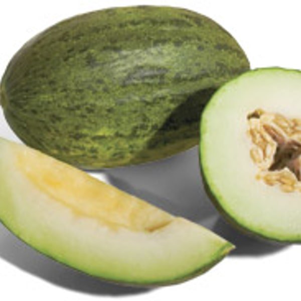 Piel de Sapo Melon