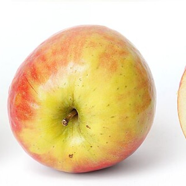 Cosmic Crisp Apple